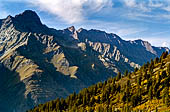 Valle di Rhemes, bosco di larici.